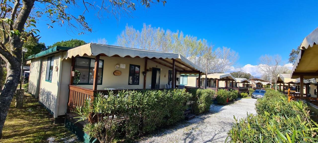 Chalet La Dolce Vita Viareggio Buitenkant foto